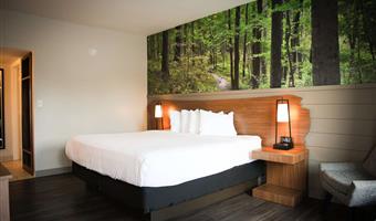 1 king bed, non-smoking, theme room, work desk, microwave and refrigerator, wi-fi, walk in shower