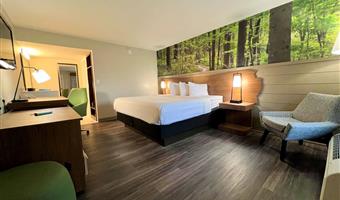 1 king bed, non-smoking, theme room, work desk, microwave and refrigerator, wi-fi, walk in shower