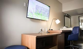 1 king bed, non-smoking, theme room, work desk, microwave and refrigerator, wi-fi, walk in shower