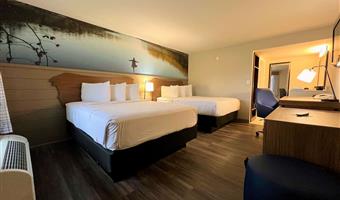 2 queen beds, non-smoking, theme room, work desk, wi-fi, hairdryer, walk in shower