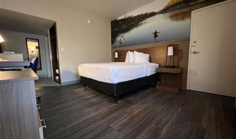 accessible - 1 queen, mobility accessible, roll in shower, theme room, work desk, microwave and refrigerator, non-smoking