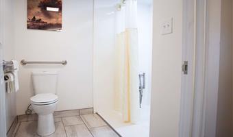 accessible - 1 queen, mobility accessible, roll in shower, theme room, work desk, microwave and refrigerator, non-smoking