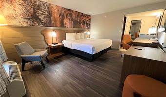 1 king bed, non-smoking, theme room, work desk, coffee maker, iron and ironing board, walk in shower