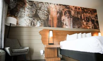 1 king bed, non-smoking, theme room, work desk, coffee maker, iron and ironing board, walk in shower