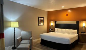 suite-1 king bed, mobility accessible, bathtub, sofa for sitting, non-smoking, full breakfast