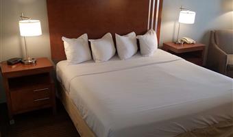 1 king bed, non-smoking, flat screen television, microwave and refrigerator, high speed internet access, continental breakfast