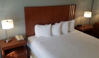 1 king bed, non-smoking, flat screen television, microwave and refrigerator, high speed internet access, continental breakfast