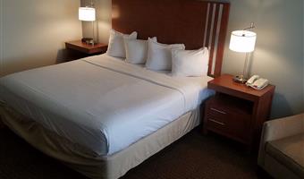 1 king bed, non-smoking, flat screen television, microwave and refrigerator, high speed internet access, continental breakfast