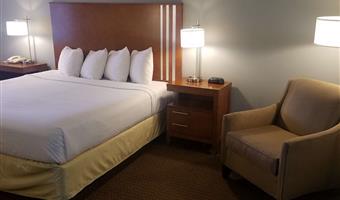 1 king bed, non-smoking, larger room, high speed internet access, microwave and refrigerator, flat screen television, continental breakfast