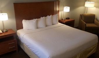 1 king bed, non-smoking, larger room, high speed internet access, microwave and refrigerator, flat screen television, continental breakfast