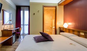 1 queen bed, non-smoking, deluxe room