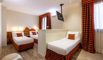 1 queen bed, non-smoking, executive room, sofabed, coffee and tea maker, bathrobe