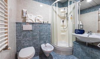 1 queen bed, non-smoking, executive room, sofabed, coffee and tea maker, bathrobe