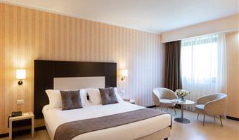 1 queen bed, non-smoking, superior room, twin on request