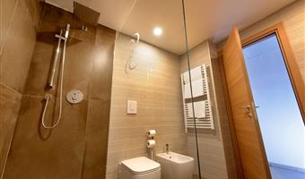 1 queen bed, non-smoking, deluxe room