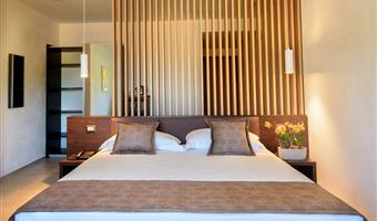 1 queen bed, non-smoking, deluxe room