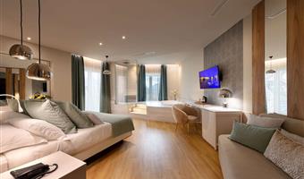 1 queen bed, non-smoking, junior suite