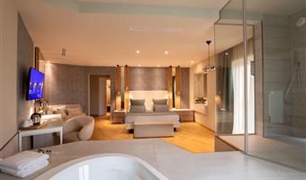 1 queen bed, non-smoking, junior suite