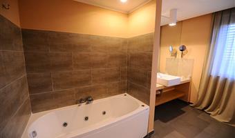 1 queen bed, non-smoking, deluxe room