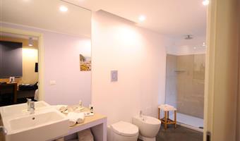 1 queen bed, non-smoking, deluxe room