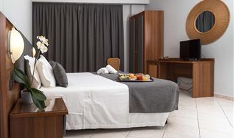 1 queen bed,family room,sofabed