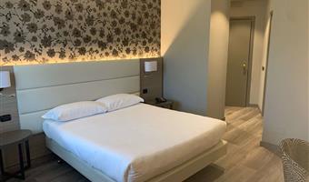 1 queen bed, non-smoking, standard room, convertible into two twin beds