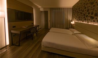 1 queen bed, non-smoking, standard room, convertible into two twin beds