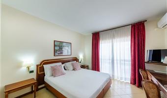 1 queen bed, non-smoking, classic room, convertible into two twin beds