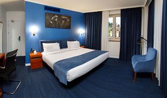 1 king bed, non-smoking, superior room, wi-fi, coffee and tea maker, shower, full breakfast