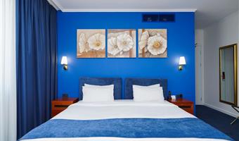 1 king bed, non-smoking, superior room, wi-fi, coffee and tea maker, shower, full breakfast