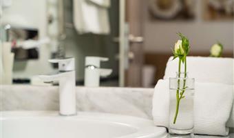 1 king bed, non-smoking, safe, desk, wi-fi, coffee and tea maker, shower, full breakfast