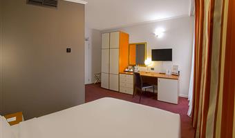 1 queen bed, non-smoking, safe, wi-fi, coffee and tea maker, shower, full breakfast