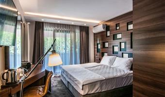 1 king bed, non-smoking, deluxe room, wi-fi, coffee and tea maker, mini bar, shower, full breakfast