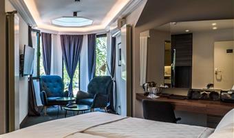 1 king bed, non-smoking, deluxe room, wi-fi, coffee and tea maker, mini bar, shower, full breakfast