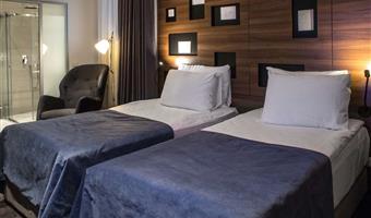 2 single beds, non-smoking, deluxe room, wi-fi, coffee and tea maker, mini bar, shower, full breakfast