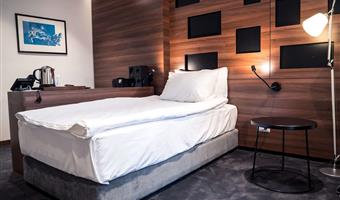 1 queen bed, non-smoking, comfort room, wi-fi, coffee and tea maker, mini bar, shower, full breakfast