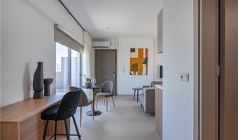 apartment - queen bed, non-smoking, penthouse, sofabed, terrace, kitchenette, wi-fi