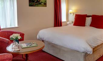 1 king 1 single, non-smoking, family room