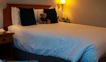 1 king bed, non-smoking, standard room