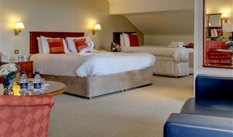 1 king bed, non-smoking, executive family room