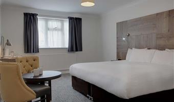 1 king bed, non-smoking, standard room