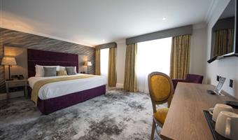 1 king bed, non-smoking, executive room