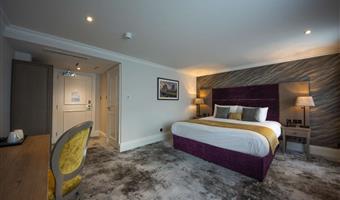 1 king bed, non-smoking, executive room