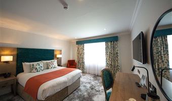 1 double bed, non-smoking, standard room, high speed internet access