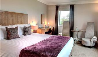 1 double bed, non-smoking, standard room
