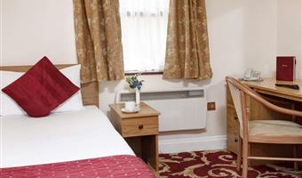 1 single bed, non-smoking, standard room