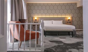 suite-1 king bed, non-smoking