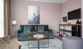 suite-1 king bed, non-smoking, high speed internet access, terrace, full breakfast