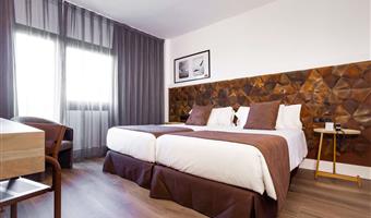 1 king bed, non-smoking, standard room, convertible into two twin beds, safe, air-conditioned, wi-fi