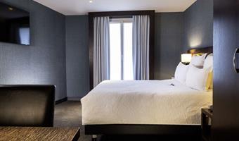1 king bed, non-smoking, deluxe room, larger room, sofabed for one person, flat screen television, espresso machine